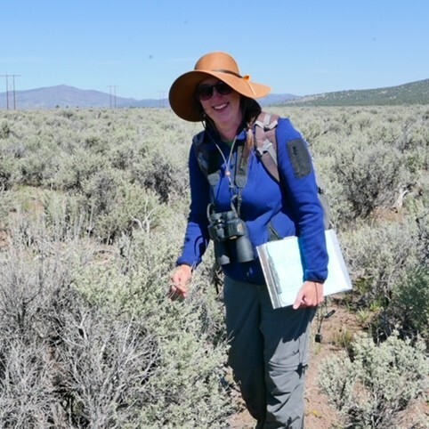Documenting Vegetation with Jaime Ratchford: Talk - logo